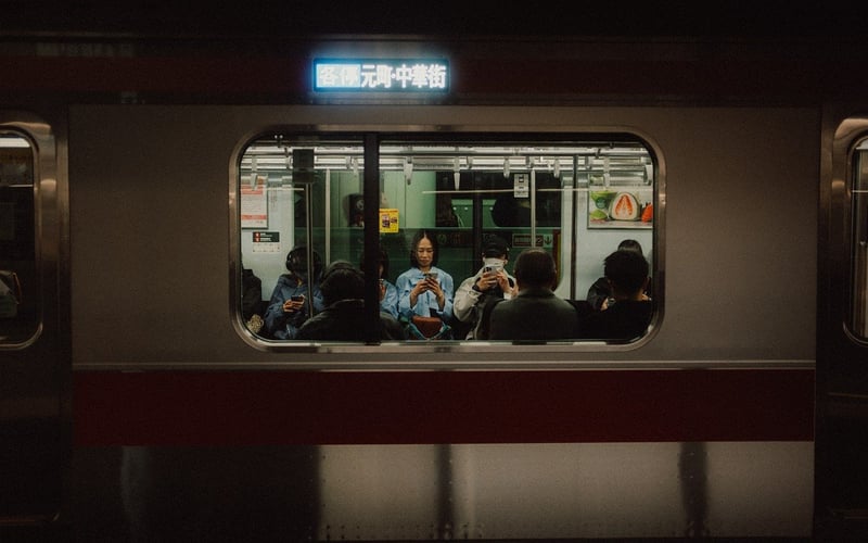 Urban Jungle Vibes